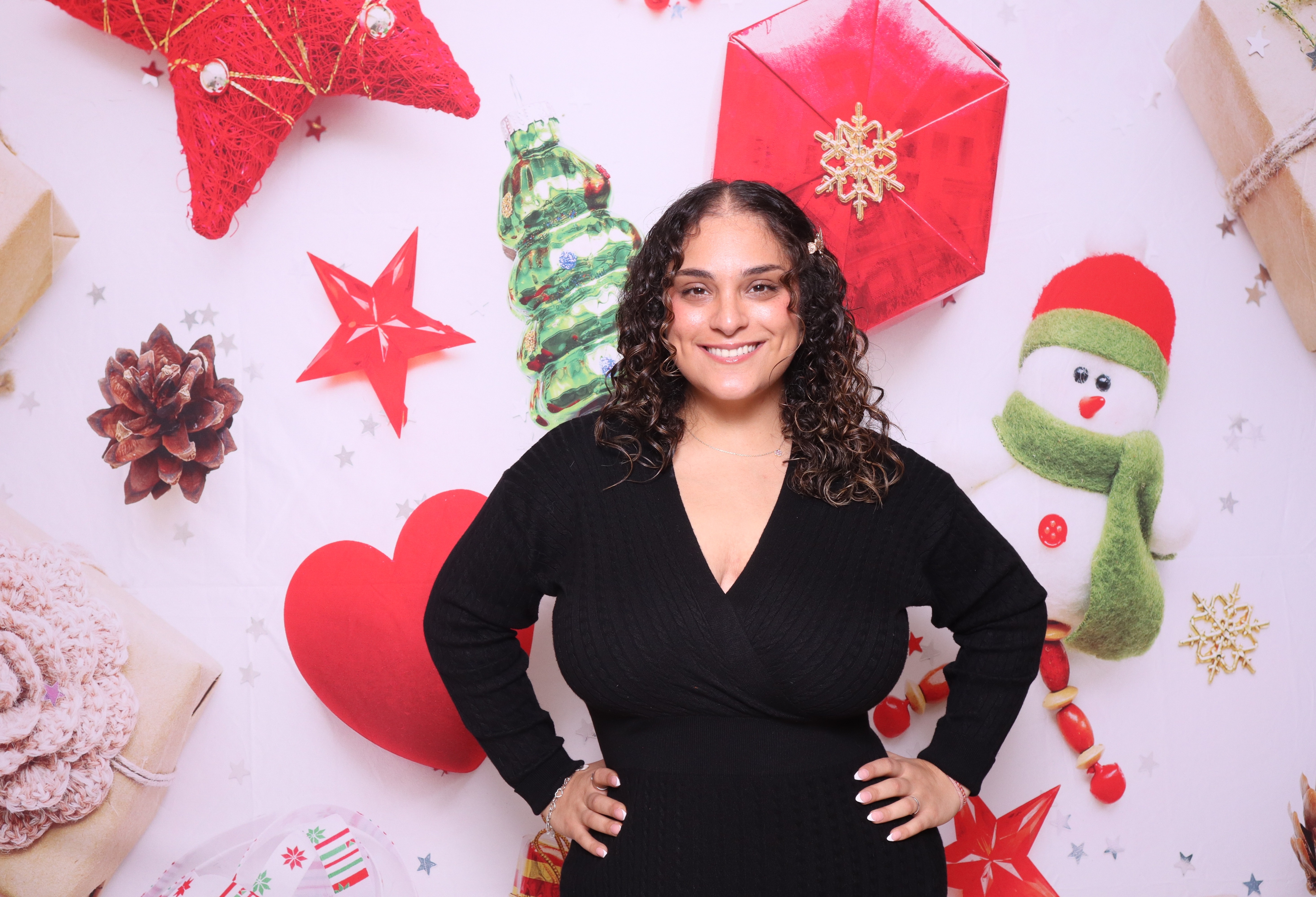 Holiday Fun backdrop
